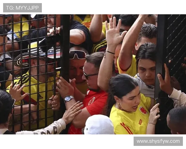 世界杯赛场风云再起球迷热议新闻评论引发全网关注与观点碰撞